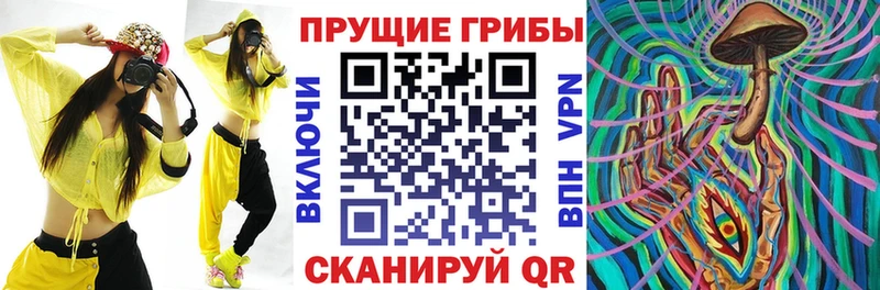 купить сайты Россошь Галлюциногенные грибы прущие грибы